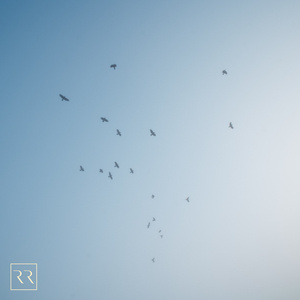 疯狂婬荡的人妻HD中文
