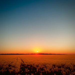 疯狂婬荡的人妻HD中文
