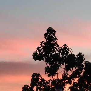 疯狂婬荡的人妻HD中文
